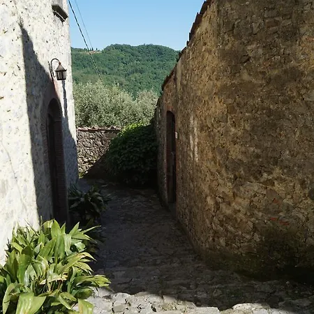 Puccini
